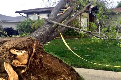 Natural disasters effect on property. A tree falls on a family home in a suburban neighborhood