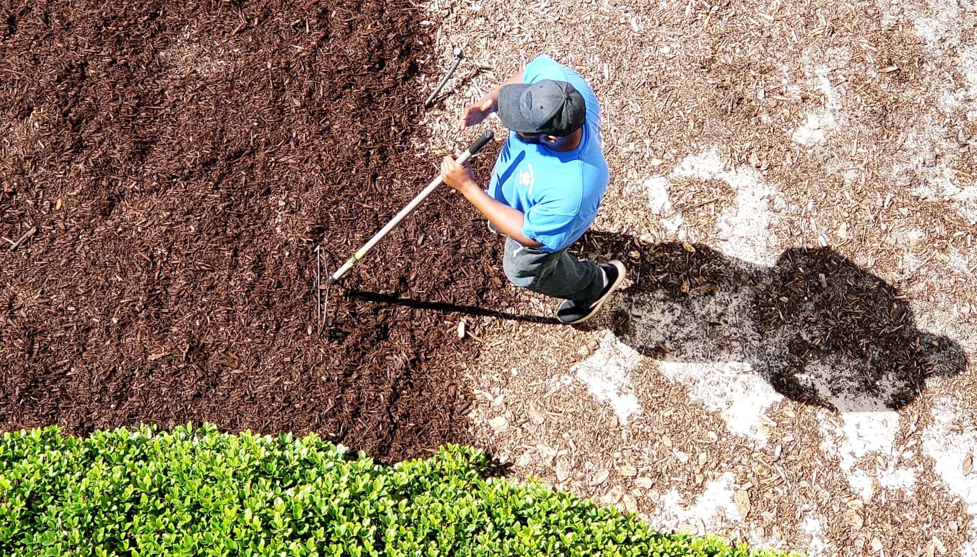 Yard man spreading mulch in outdoor garden area of a beach condo.